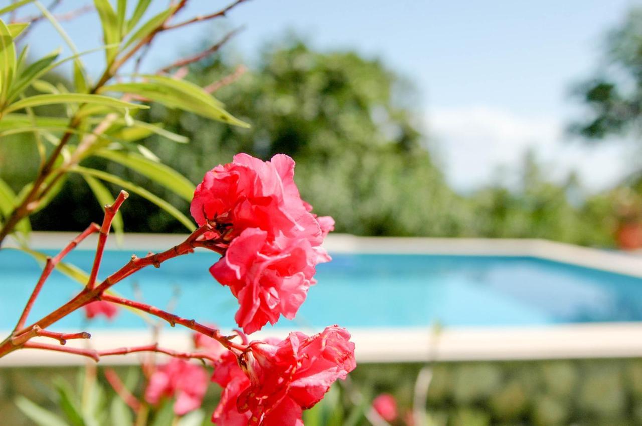 Villa Regina Serafina Balchik Esterno foto